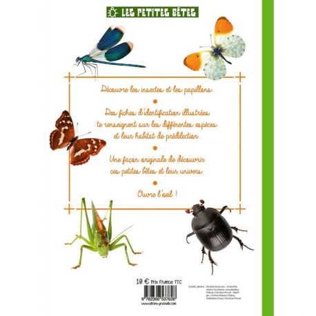 PETITES BETES INSECTES ET PAPILLONS