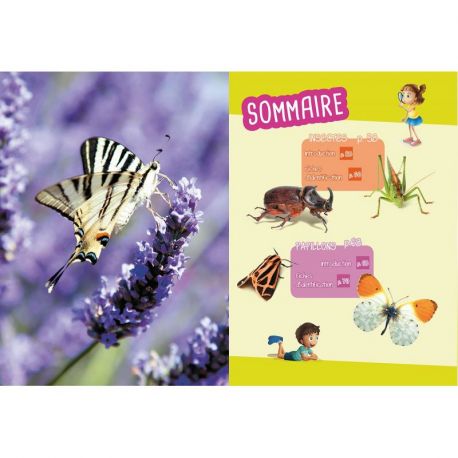PETITES BETES INSECTES ET PAPILLONS
