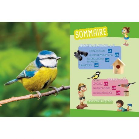 PETITES BETES OBSERVER LES OISEAUX