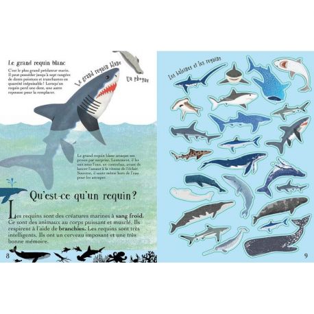 LES BALEINES ET LES REQUINS DECOUVRE CONSTRUIS ET JOUE