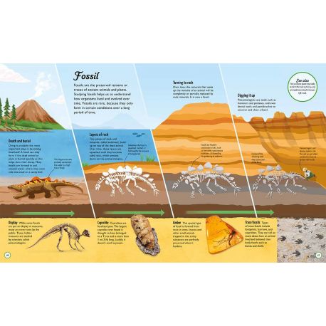 LA FABULEUSE HISTOIRE DE LA VIE SUR TERRE