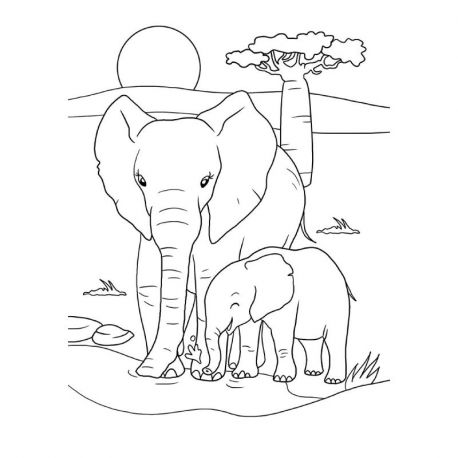 LES ANIMAUX
