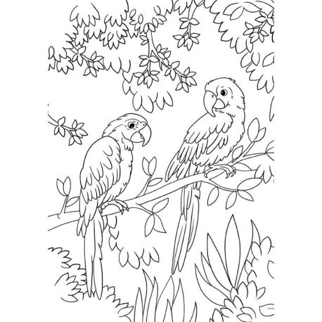 LES ANIMAUX