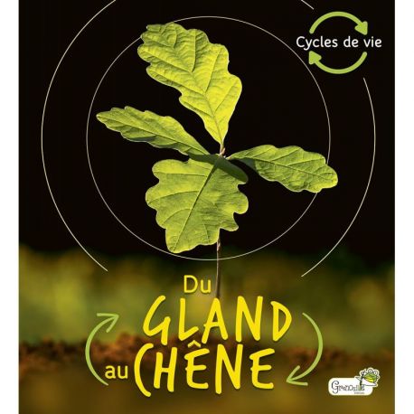 DU GLAND AU CHENE