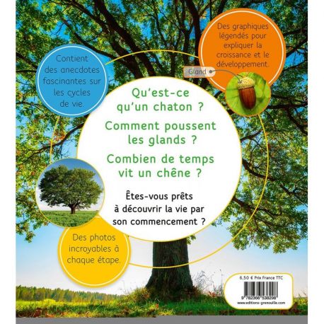 DU GLAND AU CHENE