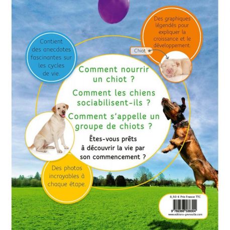 DU CHIOT AU CHIEN