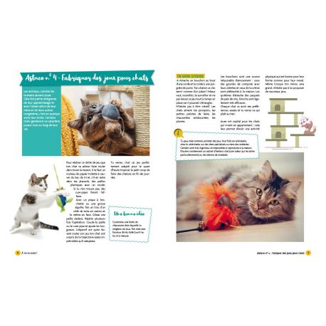 ANIMAUX DE COMPAGNIE - MON PETIT GUIDE