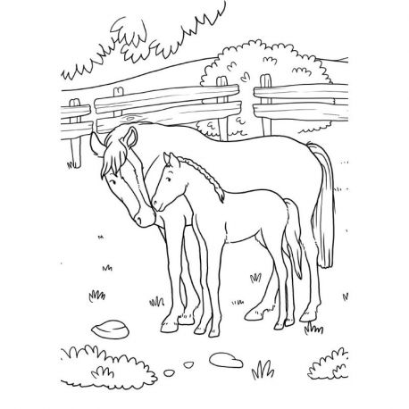 LES CHEVAUX ET LES PONEYS