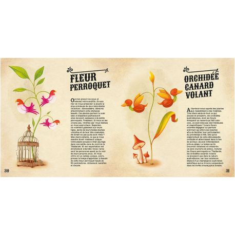 INCROYABLES PLANTES DU MONDE
