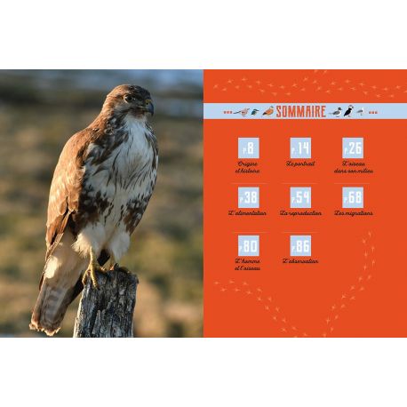 MA PETITE ENCYCLO DES OISEAUX