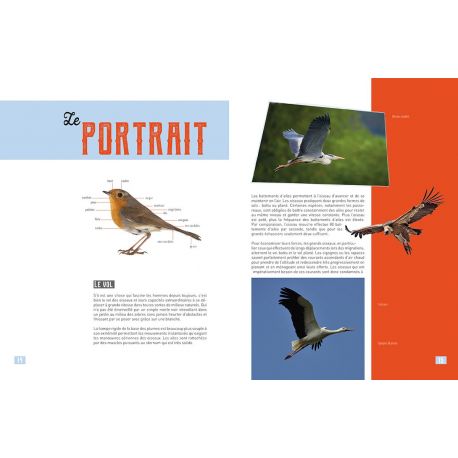 MA PETITE ENCYCLO DES OISEAUX
