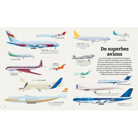 LES AVIONS (ET AUTRES OBJETS VOLANTS)