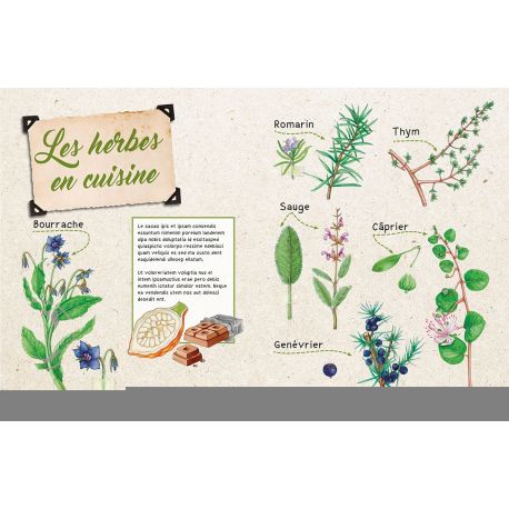 MON PREMIER HERBIER