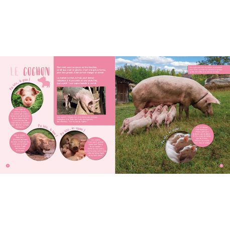 LES ANIMAUX DE LA FERME
