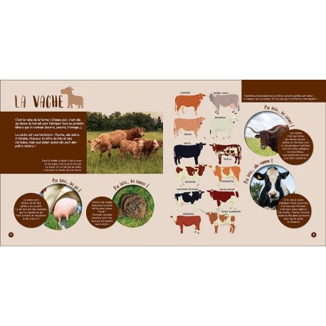 LES ANIMAUX DE LA FERME