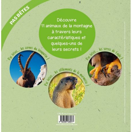 LES ANIMAUX DE LA MONTAGNE