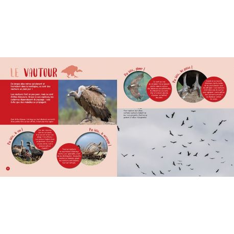 LES ANIMAUX DE LA MONTAGNE
