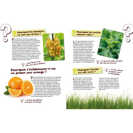 LA NATURE - MON LIVRE DES POURQUOI? COMMENT?