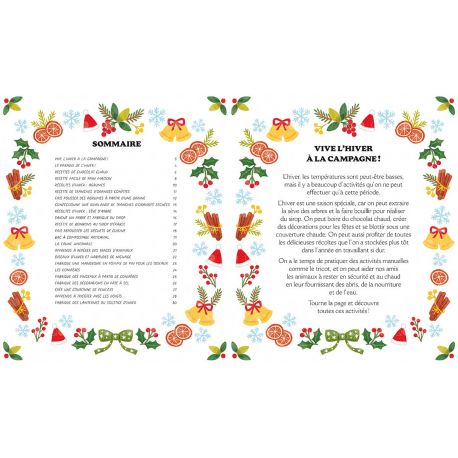 L'HIVER RECETTES BRICOLAGES