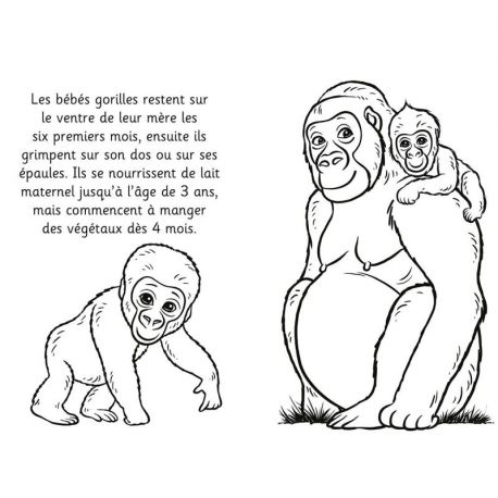 ANIMAUX