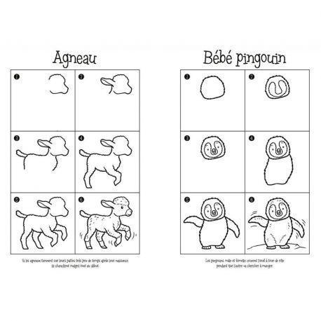 ANIMAUX