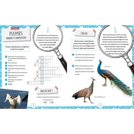 LES OISEAUX
