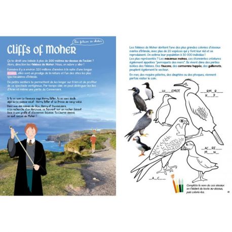 L'IRLANDE DES ENFANTS