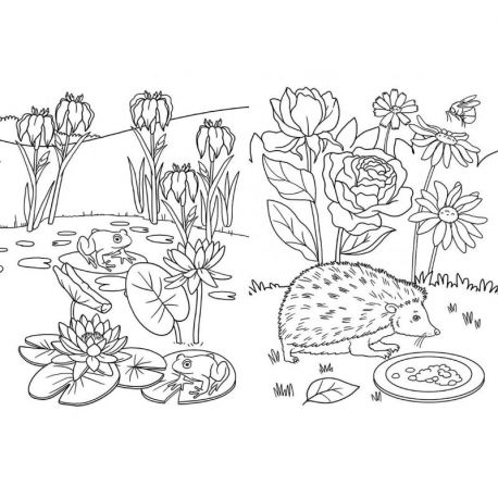 LE JARDIN