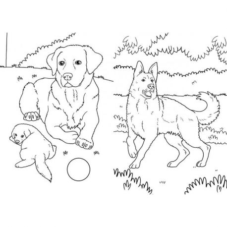 LES CHIENS ET LES CHATS
