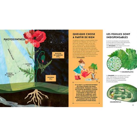 LE LANGAGE DES PLANTES