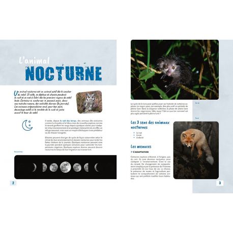 LES ANIMAUX DE LA NUIT
