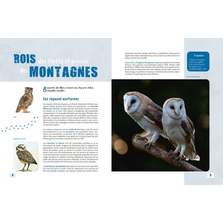 LES ANIMAUX DE LA NUIT