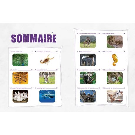 LES MAMANS DU MONDE ANIMAL