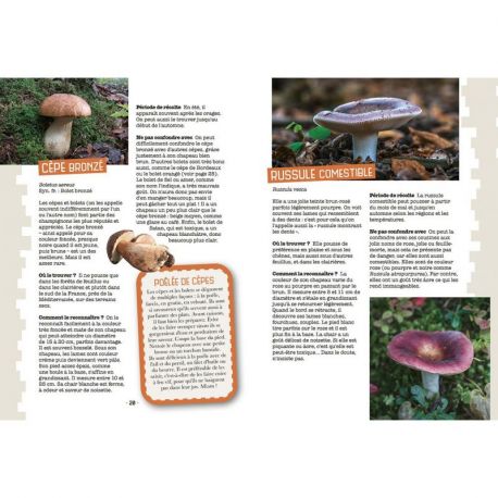 MES PREMIERES CUEILLETTES DE CHAMPIGNONS