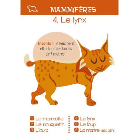MONTAGNE - JEU DES 7 FAMILLES
