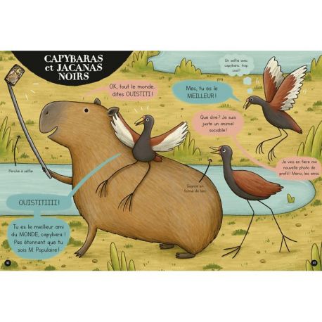 ANIMAUX BFF
