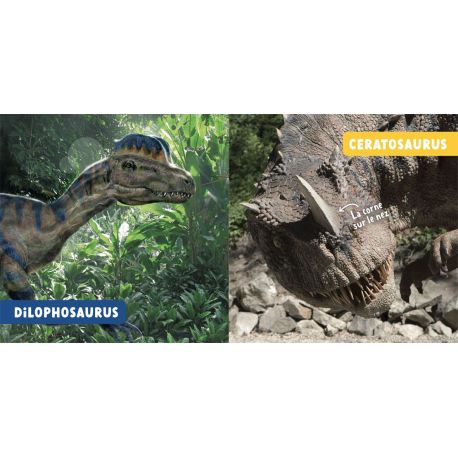LES DINOSAURES - MON PREMIER DOC PHOTO