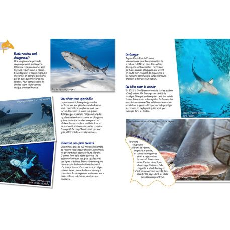 LES REQUINS