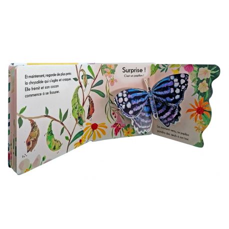 LES PAPILLONS
