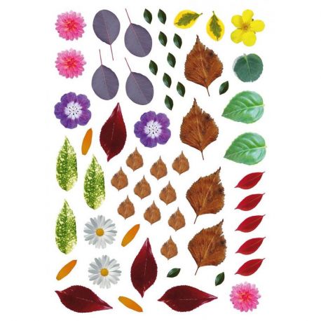 MONSTRES - CREA NATURE