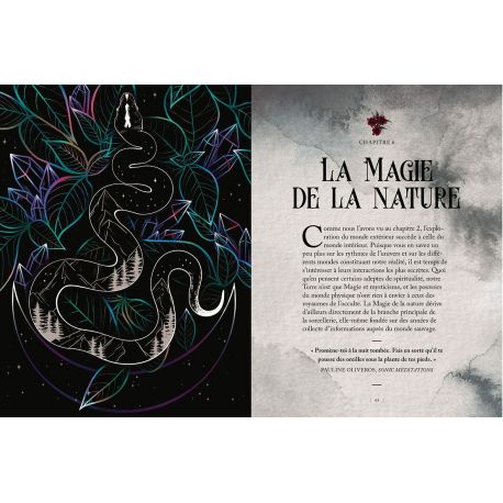 LA SORCIERE INDOMPTEE
