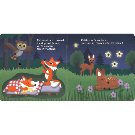 LE PETIT HIBOU DIT BONNE NUIT VOIR, APPRENDRE & COMPRENDRE