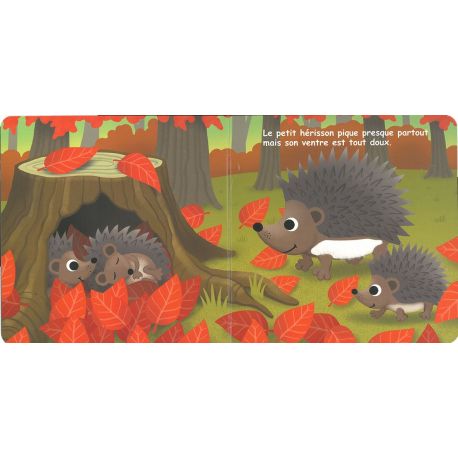 ANIMAUX DE LA FORET TOUCHER, APPRENDRE & COMPRENDRE