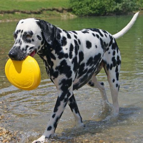 FRISBEE FLOTTANT 19 CM