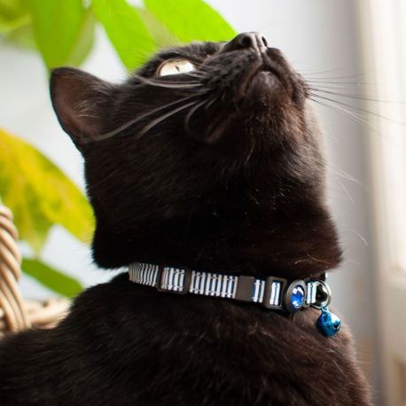 COLLIER CHAT - ANTI-ETRANGLEMENT A CLOCHETTE - NOEUD - TU 20 A 30 CM