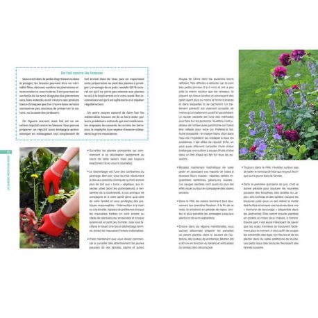 LE JARDIN MOIS PAR MOIS
