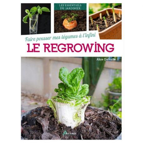 FAIRE POUSSER MES LEGUMES A L'INFINI : LE REGROWING