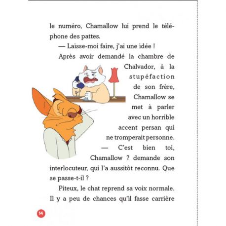 L'ENLEVEMENT DE CHAMANTHA - AGENCE MOUSTACHES, DETECTIVES PRIVES T2