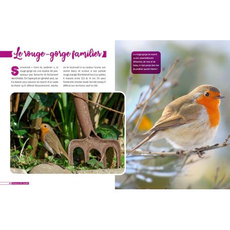 LES OISEAUX DU JARDIN - DECOUVRE LE MONDE EN PHOTOS