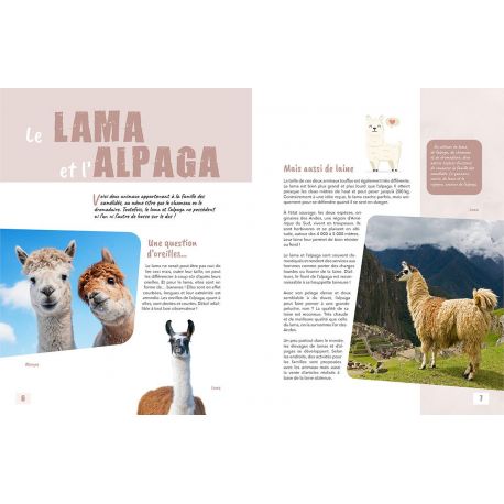 IDENTIQUES... OU PRESQUE ! CES ANIMAUX A NE PAS CONFONDRE
